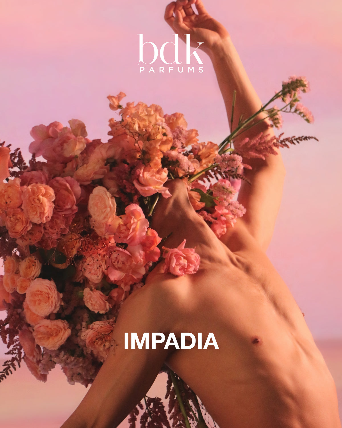 Impadia