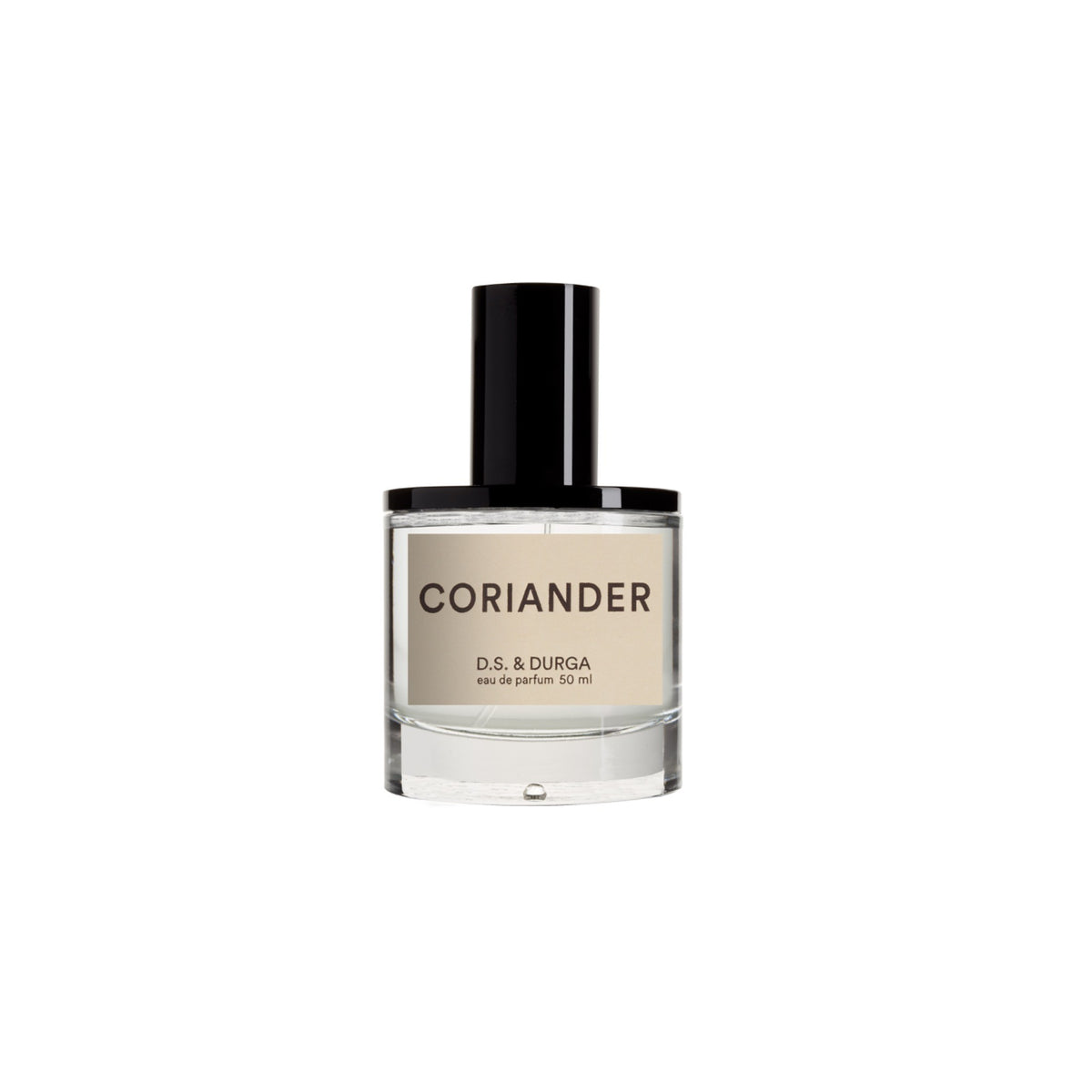 Coriander