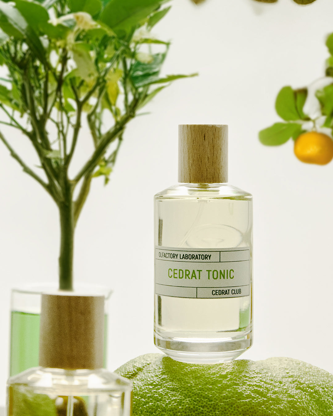 Cedrat Tonic