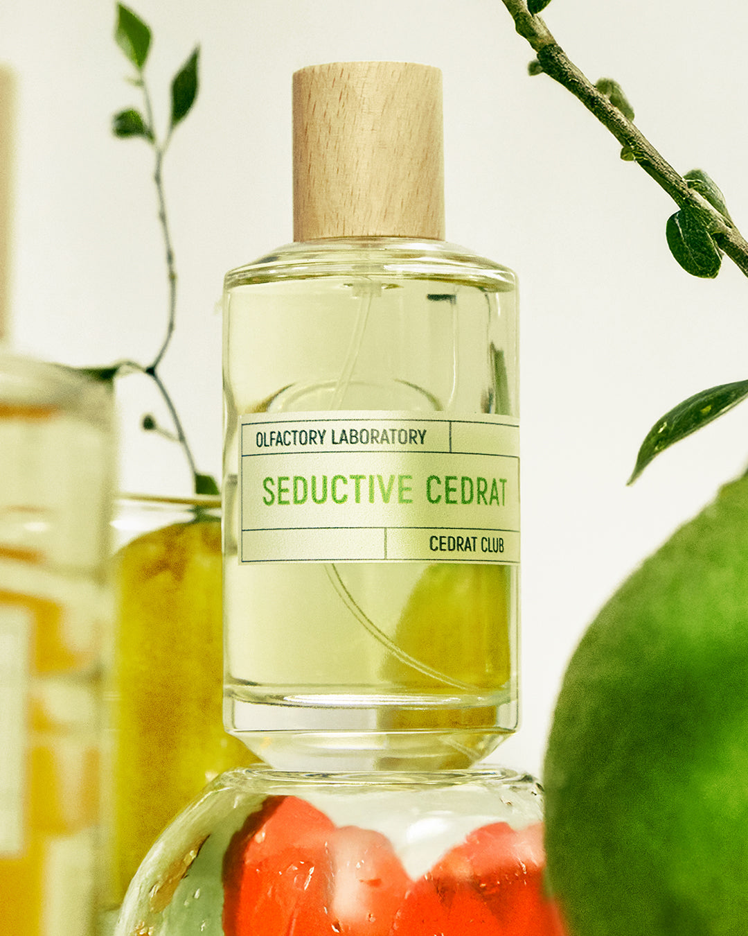 Seductive Cedrat