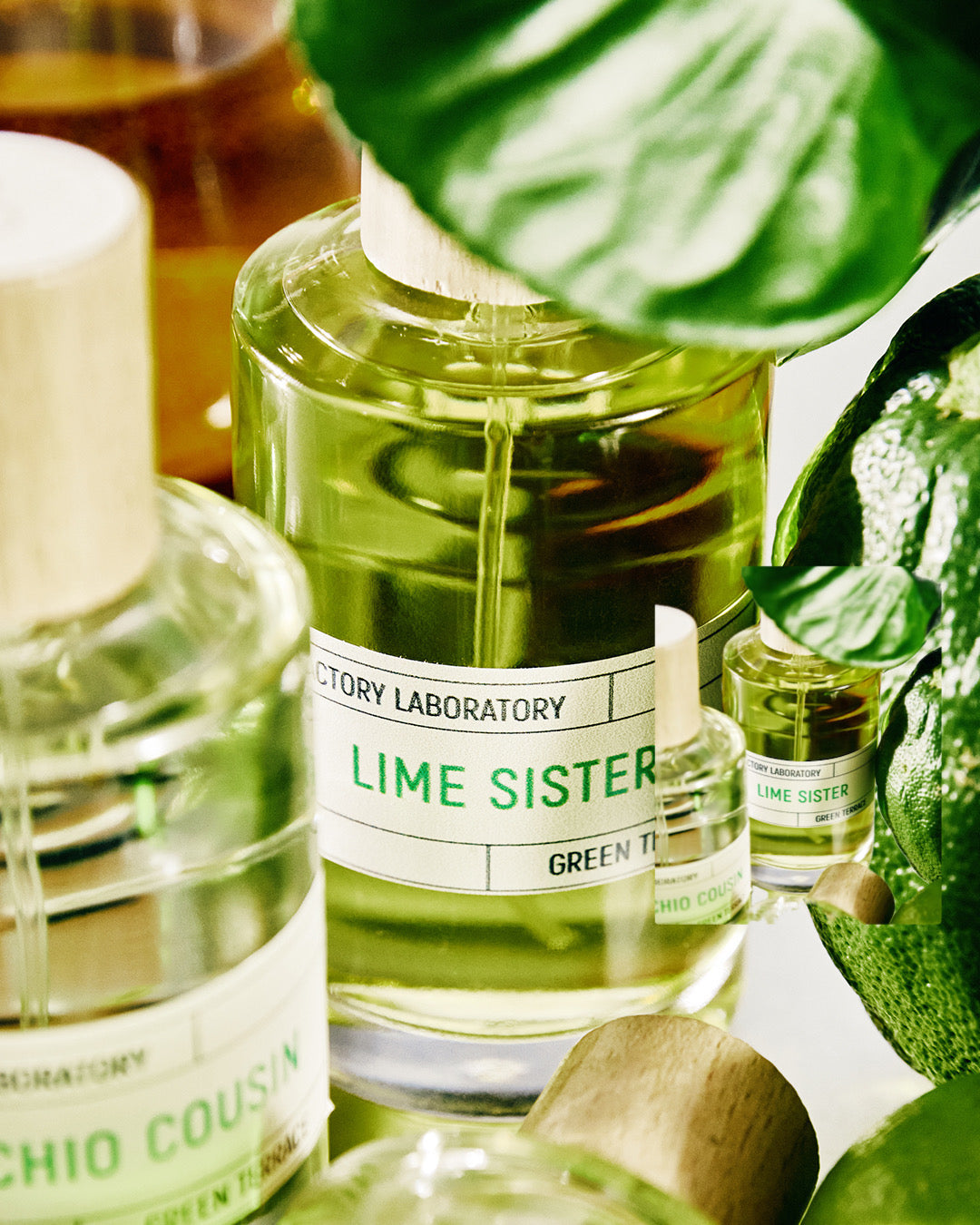Lime Sister