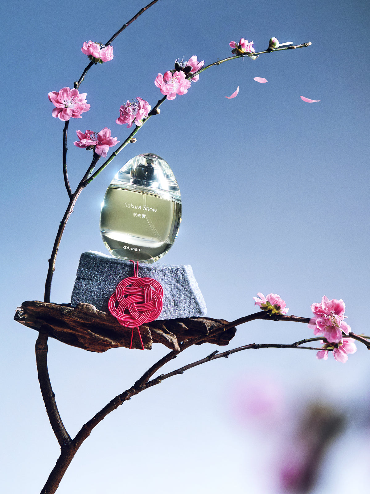Sakura Snow