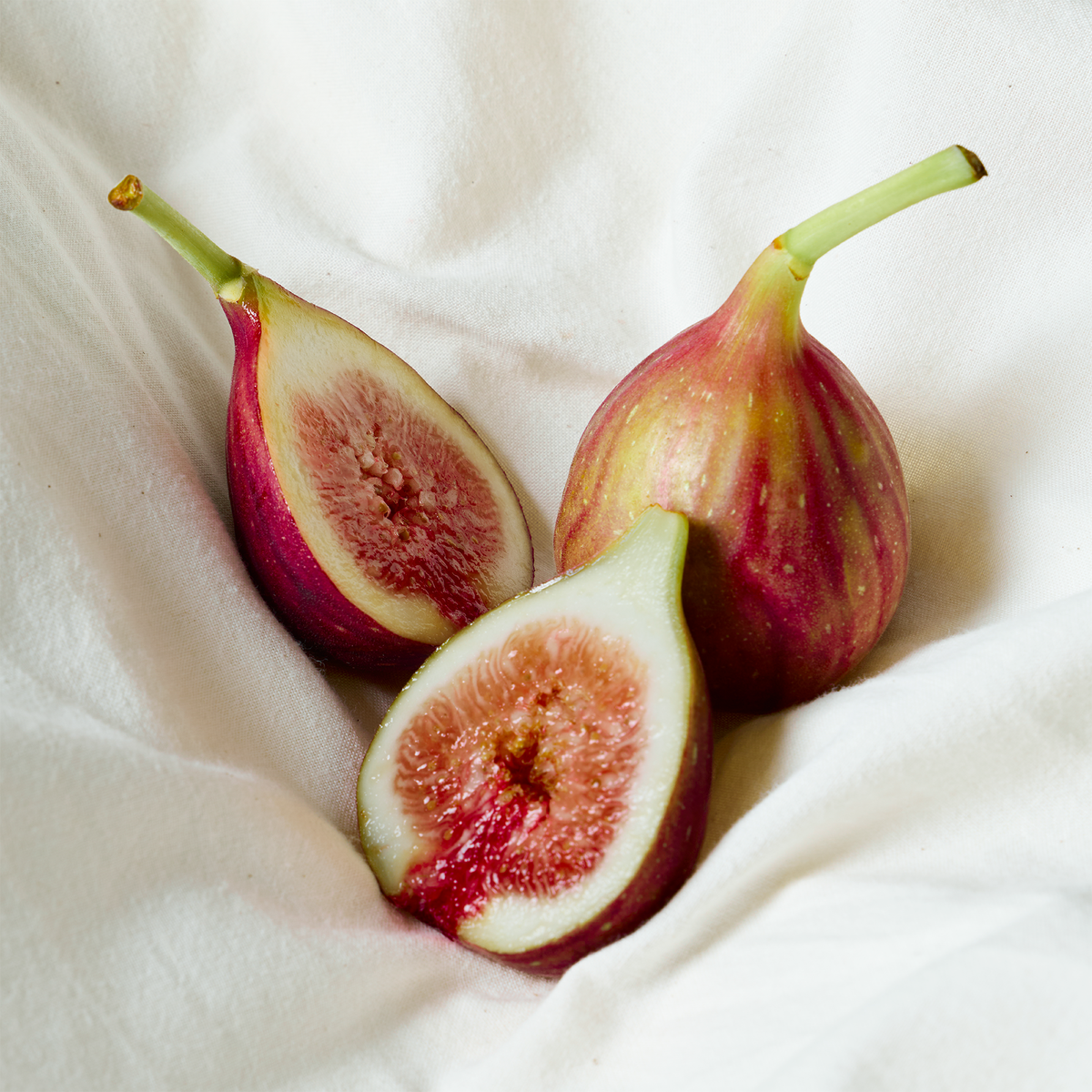 Fig & Bliss — brand supporting photograph