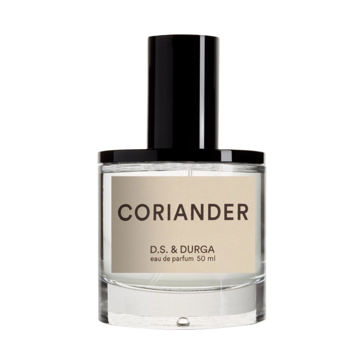 Coriander