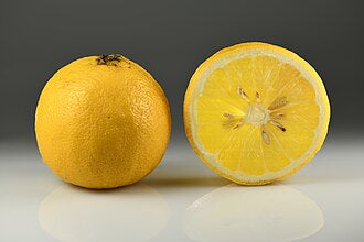 Whole bergamot fruit and a cut half