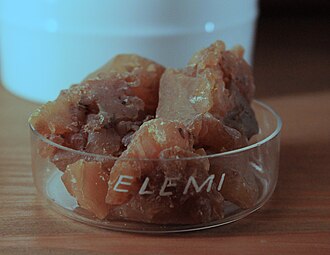 Elemi resin exhibited in the German Pharmacy Museum