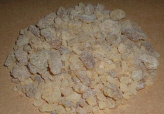 Frankincense resin from Oman