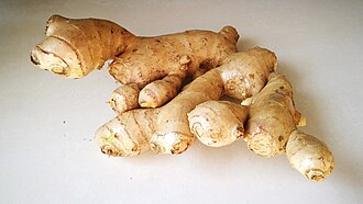Fresh ginger rhizome