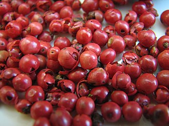 Pink pepper berries of Schinus terebinthifolius