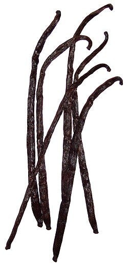 Cured vanilla pods